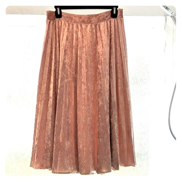 Francesca's Collections Dresses & Skirts - Crushed Velvet Pleated Midi Skirt
